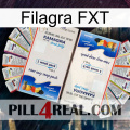 Filagra FXT kamagra1